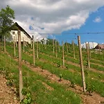 Vineyard Lustek Prázdninový dům