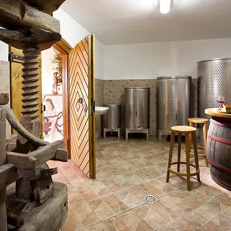 Vineyard Lustek Prázdninový dům Novo Mesto