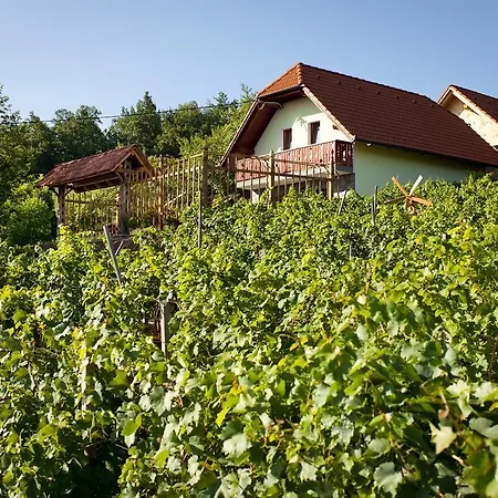 Vineyard Lustek