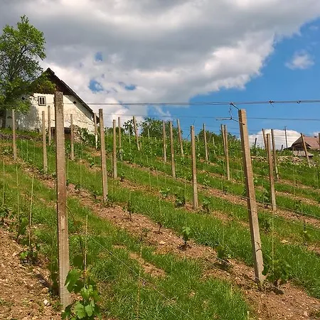 Vineyard Lustek בית נופש