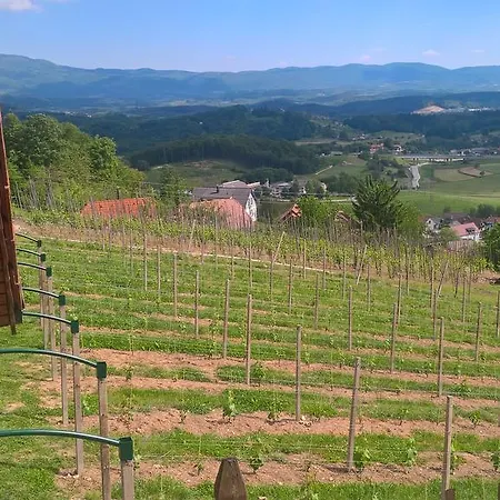 Vineyard Lustek *