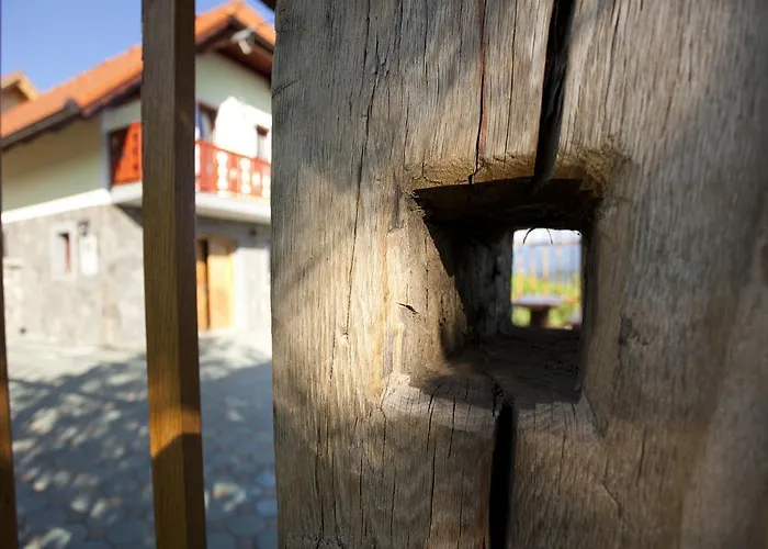 Vineyard Lustek * Novo Mesto