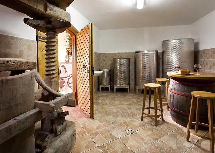 Vineyard Lustek Dom wakacyjny Novo Mesto