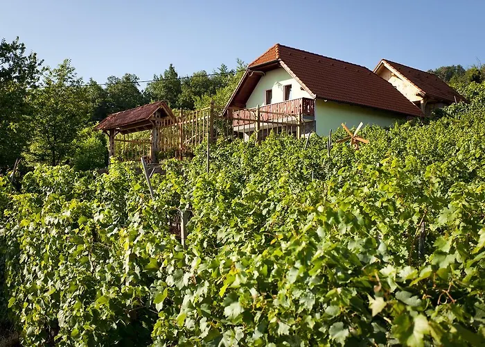 Vineyard Lustek