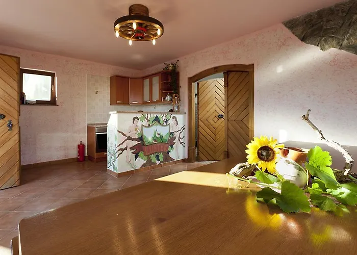 Dom wakacyjny Vineyard Lustek Novo Mesto