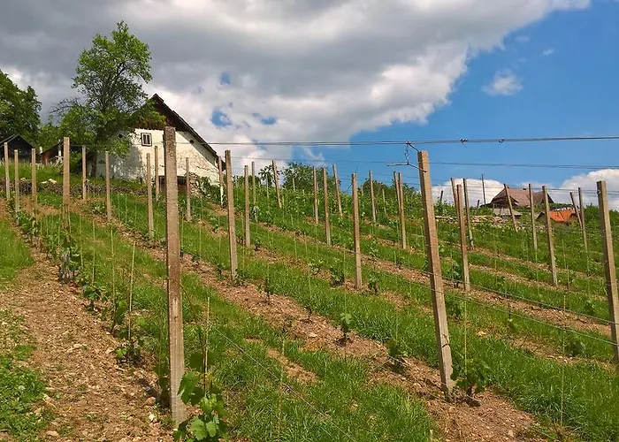 Vineyard Lustek Дом отдыха